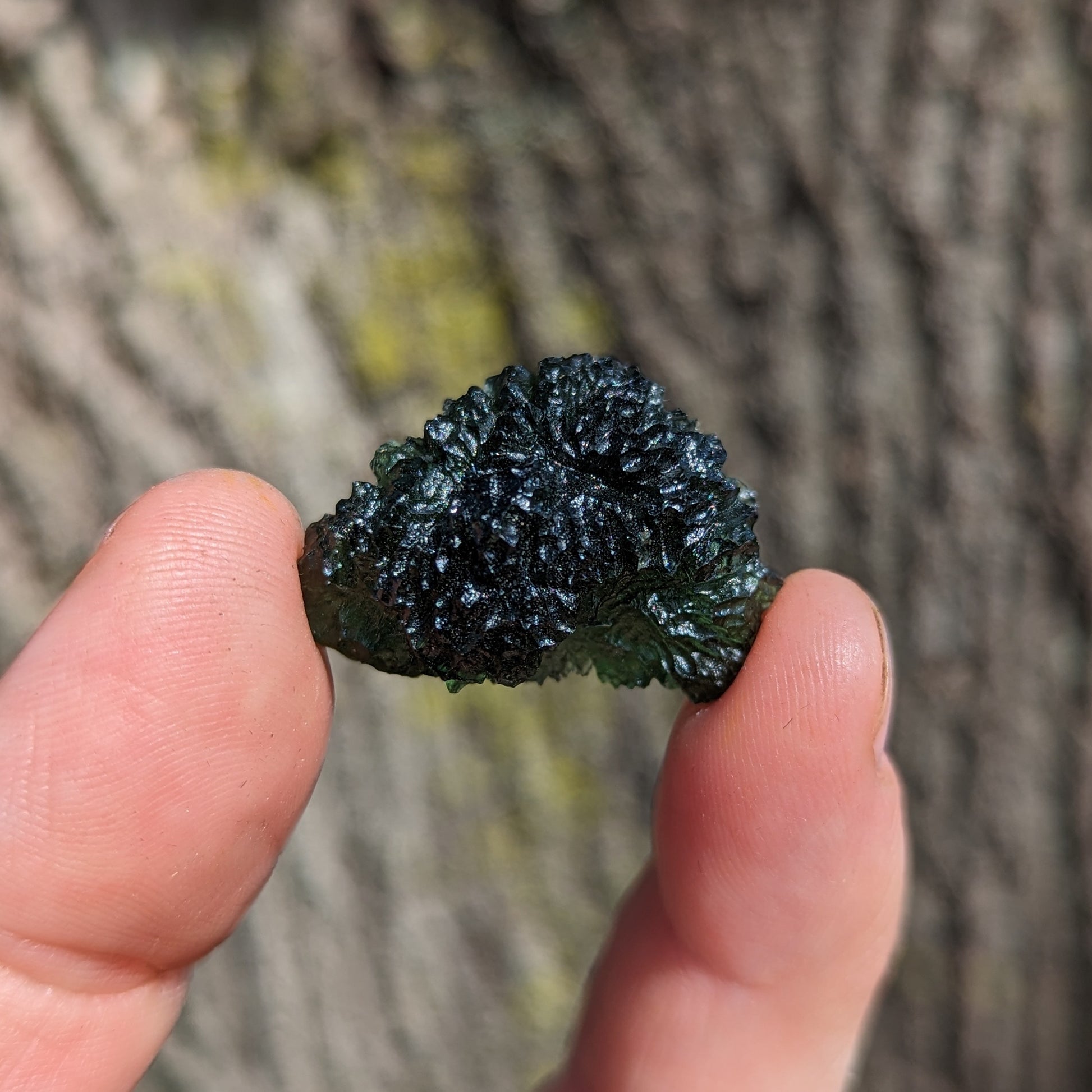 Genuine AAA Grade Moldavite Tektite Crystal~ Cosmic Energies~ Natural Moldavite - Earth Family Crystals