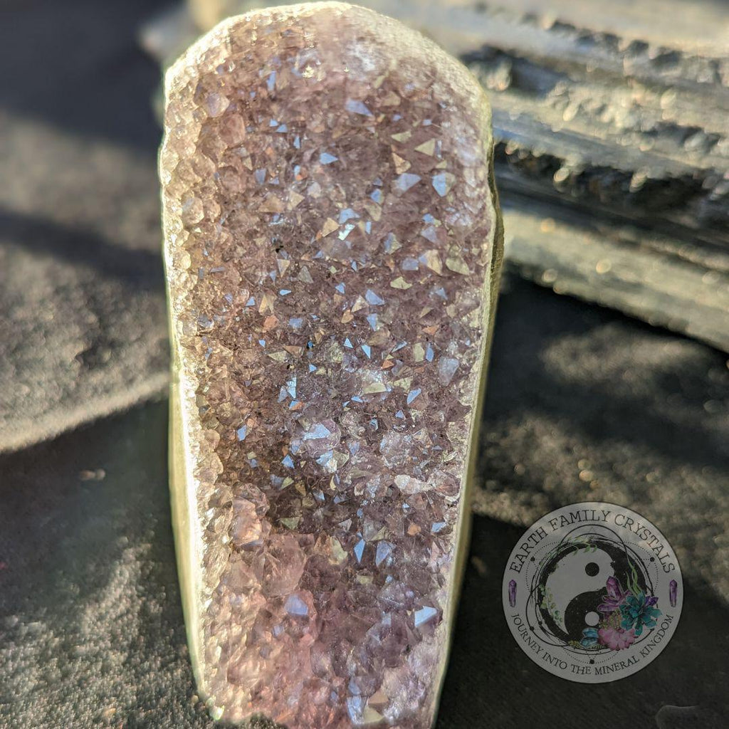 Uruguay Amethyst Geode - Small but Mighty - Earth Family Crystals