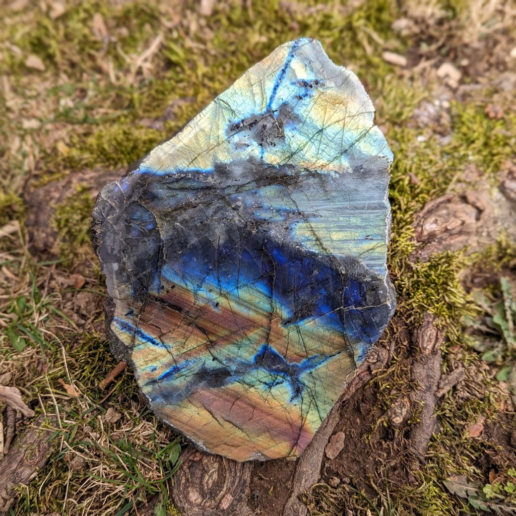 Labradorite ~ Large, Amazing Flash Polished and Rough Freeform Display Specimen - Earth Family Crystals