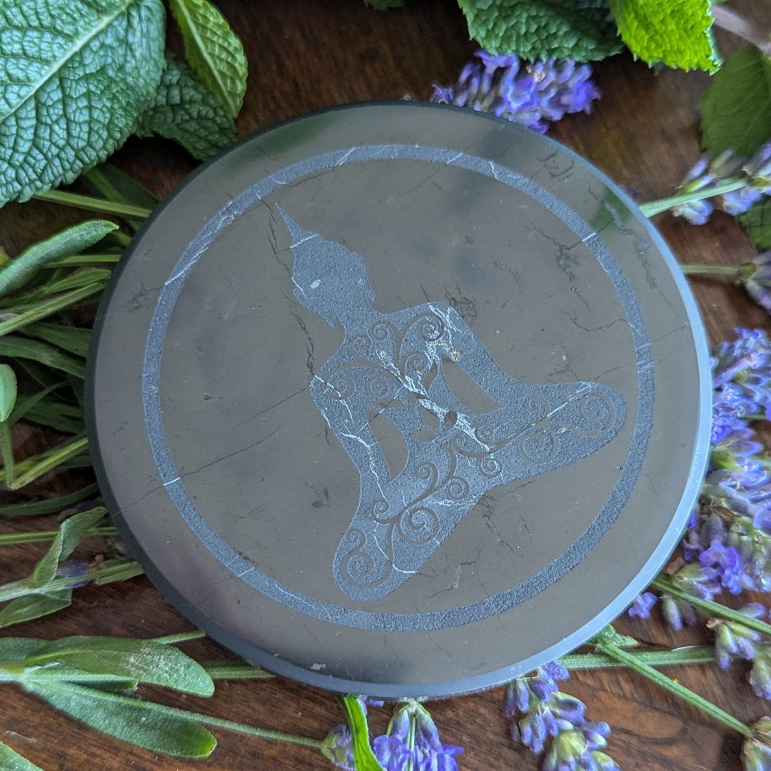 Engraved Shungite Charging Protection Plate for Your Water Bottle, Crystals and Jewelry~ EMF blocking