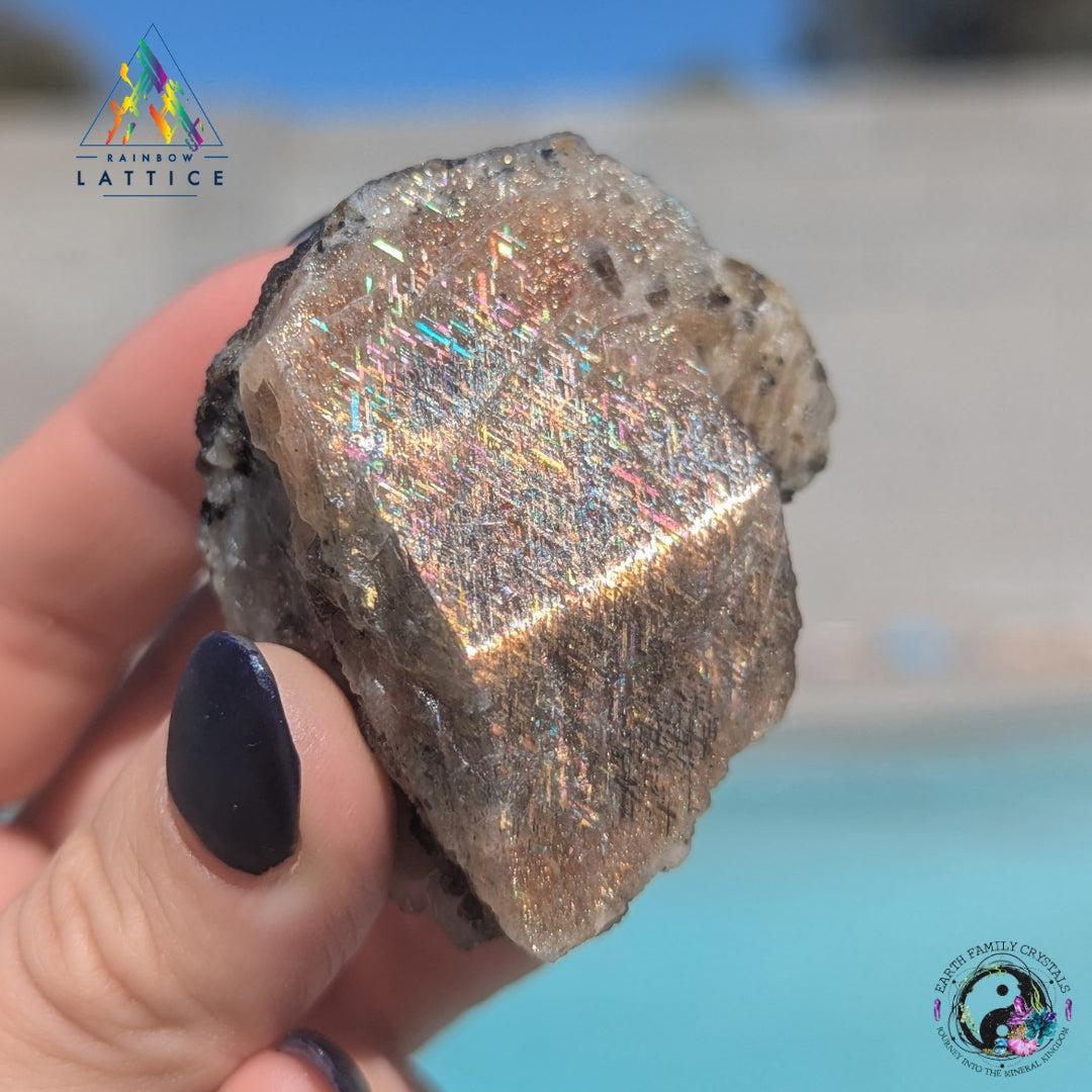 Rainbow Lattice Sunstone - Amazing Ultra Rare Collector's Specialty Size Gem Partially Polished