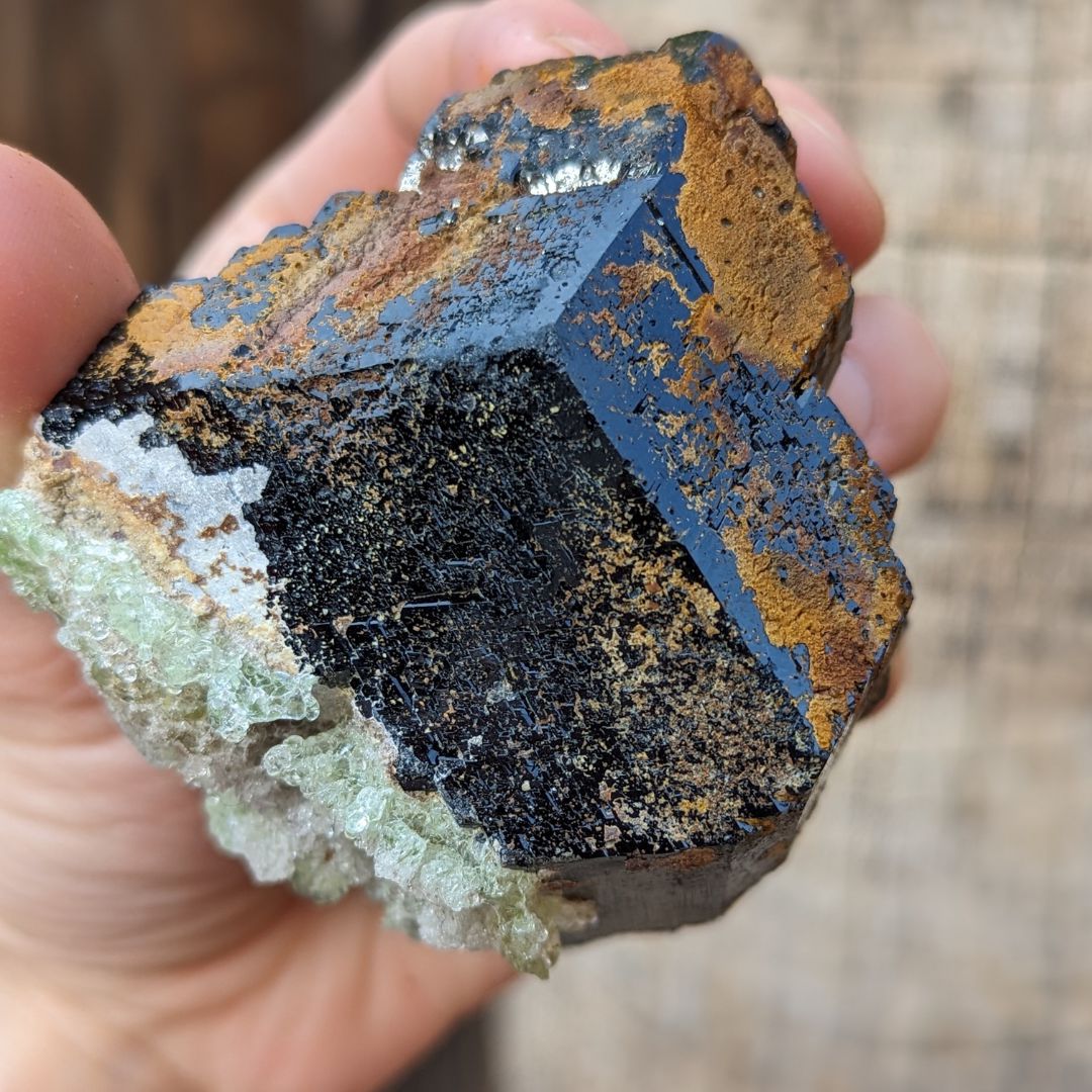 TUCSON EXCLUSIVE! GEMMY TERMINATED BLACK TOURMALINE CRYSTAL WITH HYALITE OPAL, FROM ERONGO MOUNTAIN, ERONGO REGION, NAMIBIA - Earth Family Crystals