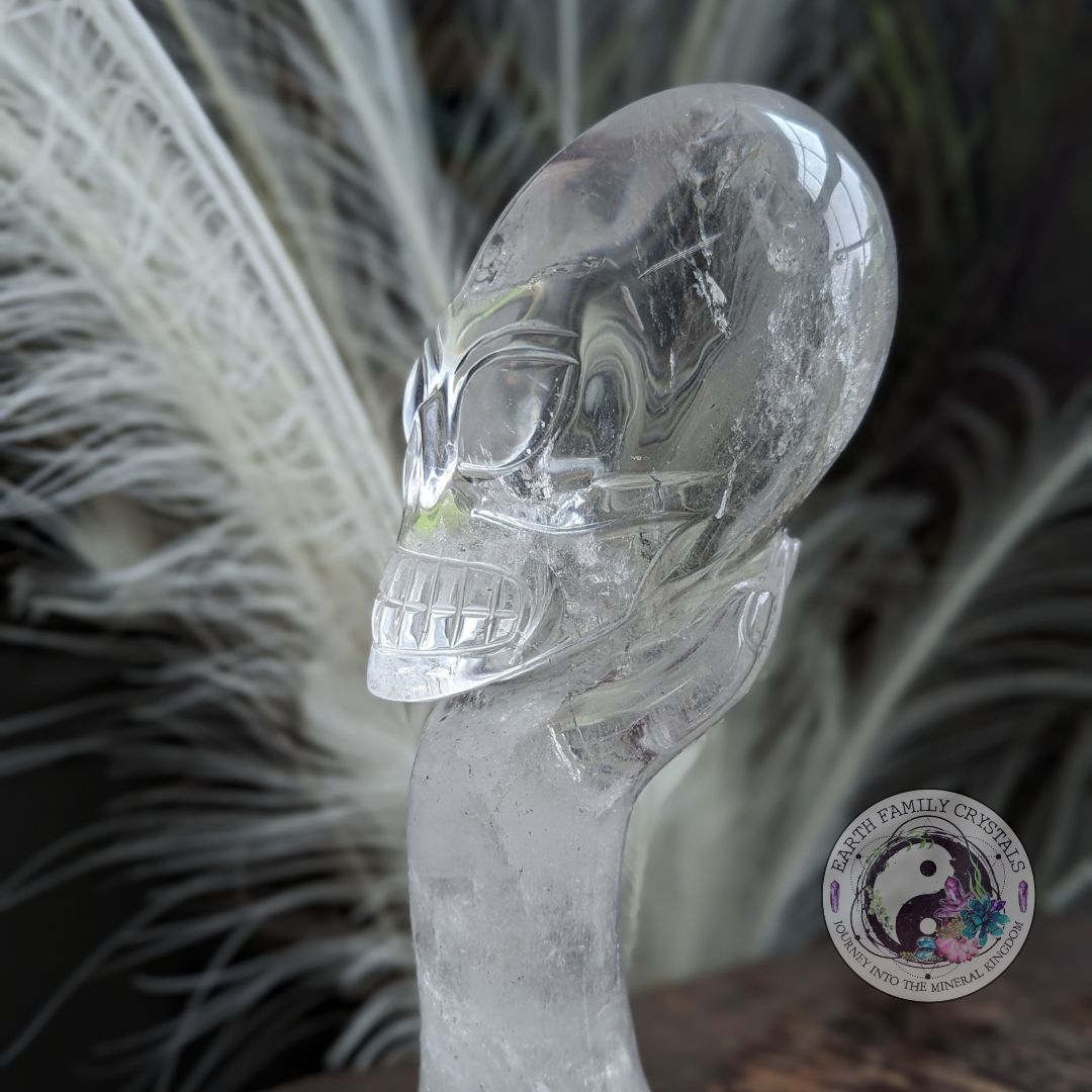 AMAZING BRAZILIAN QUARTZ CARVING~ Mystical Hand with Alien Skull ~ Intricately hand carved in Brazil ~ Luxury Display Quartz Crystal Carving - Earth Family Crystals