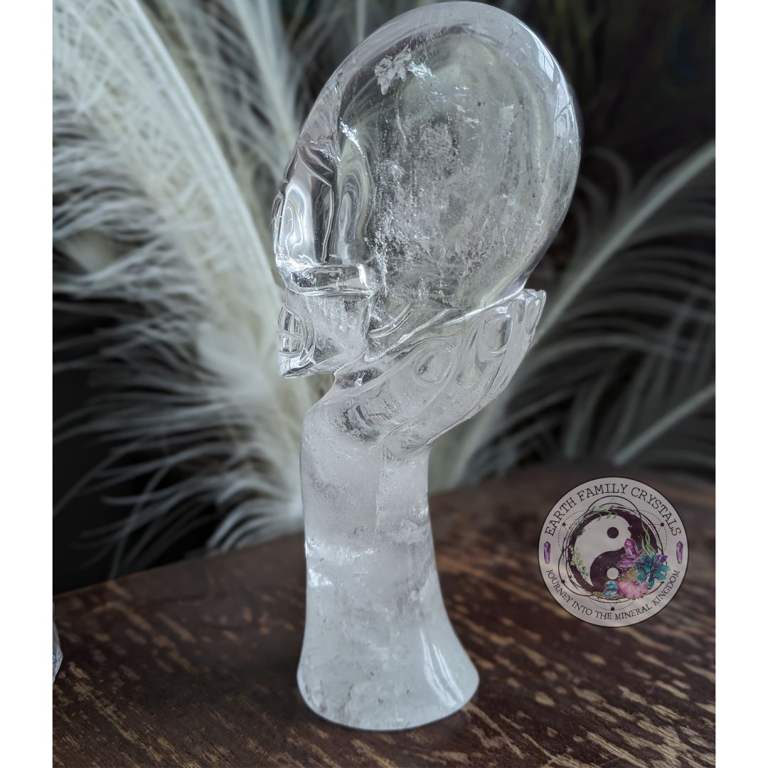 AMAZING BRAZILIAN QUARTZ CARVING~ Mystical Hand with Alien Skull ~ Intricately hand carved in Brazil ~ Luxury Display Quartz Crystal Carving - Earth Family Crystals