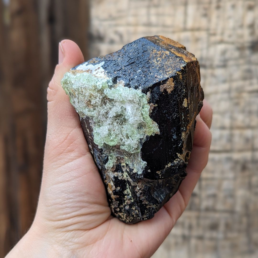 TUCSON EXCLUSIVE! GEMMY TERMINATED BLACK TOURMALINE CRYSTAL WITH HYALITE OPAL, FROM ERONGO MOUNTAIN, ERONGO REGION, NAMIBIA - Earth Family Crystals