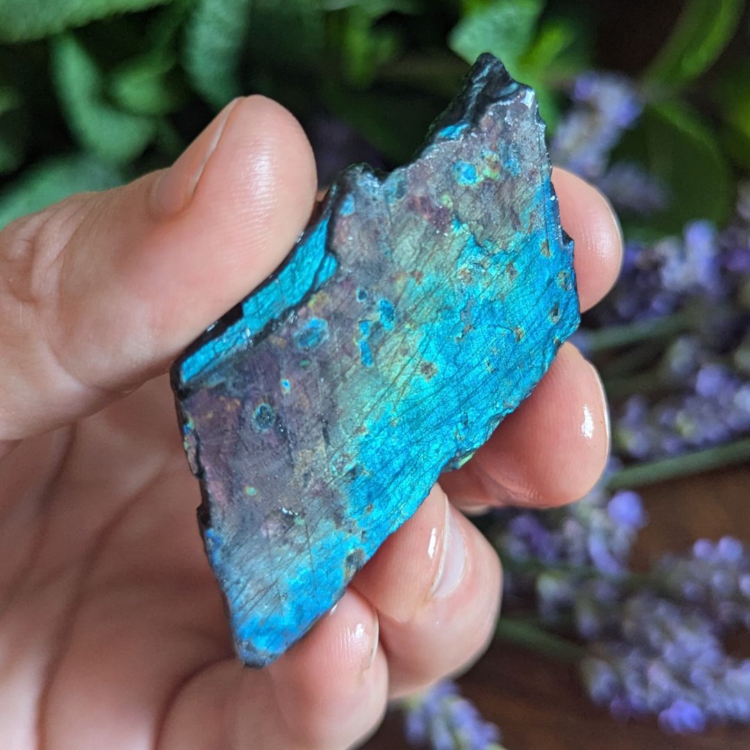 Rare, Hand Collected Natural and Authentic Grade A Spectrolite from Finland~ Gorgeous Flash, Partially Polished