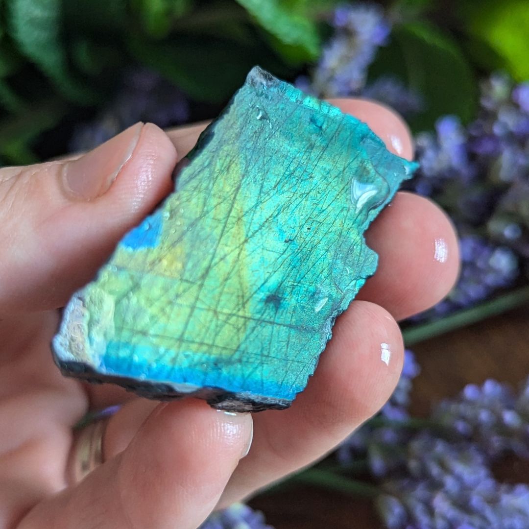 Rare, Hand Collected Natural and Authentic Grade A Spectrolite from Finland~ Gorgeous Flash, Partially Polished