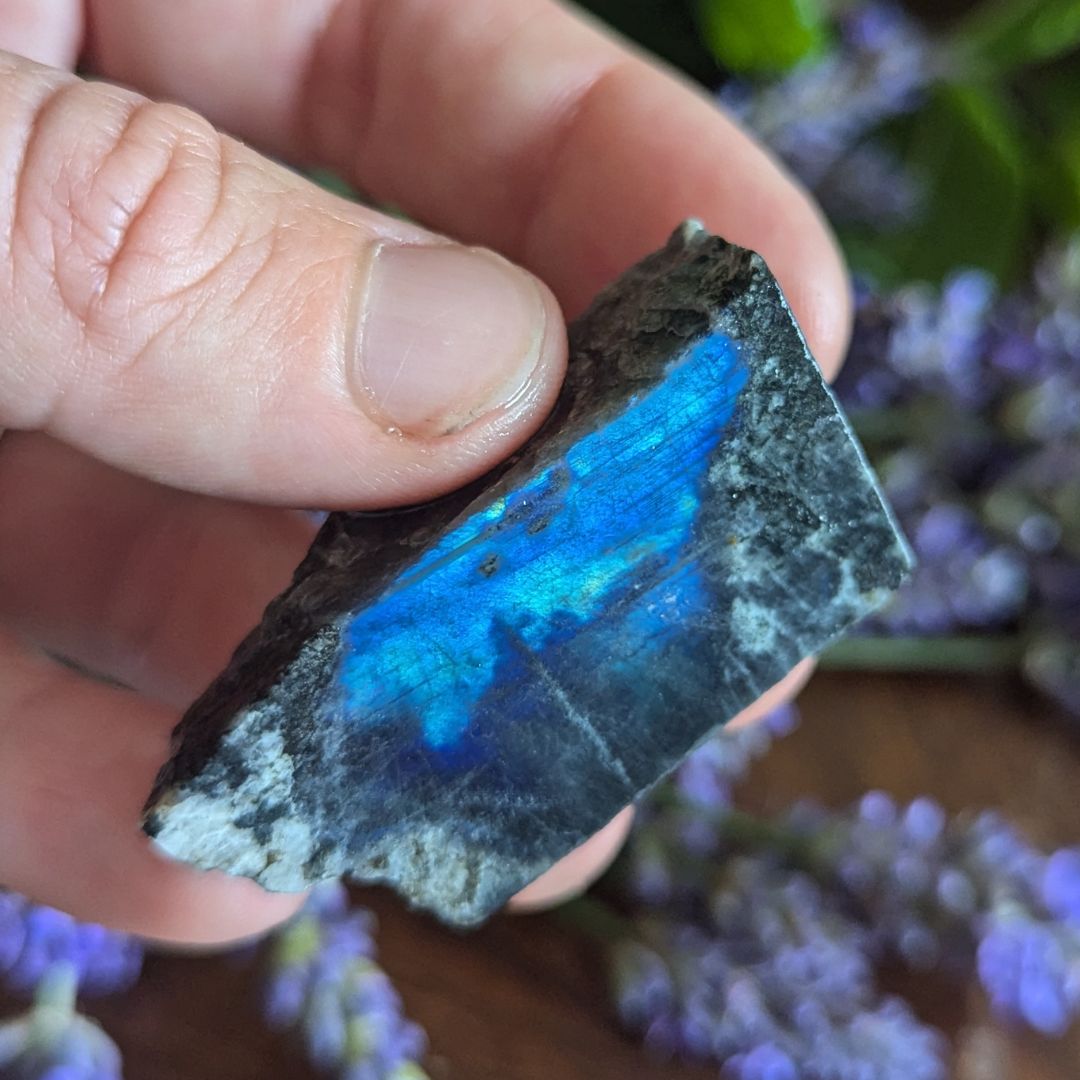 Rare, Natural Finland Spectrolite ~ A+ Grade Pure and Authentic Finland Labradorite Hand Collected