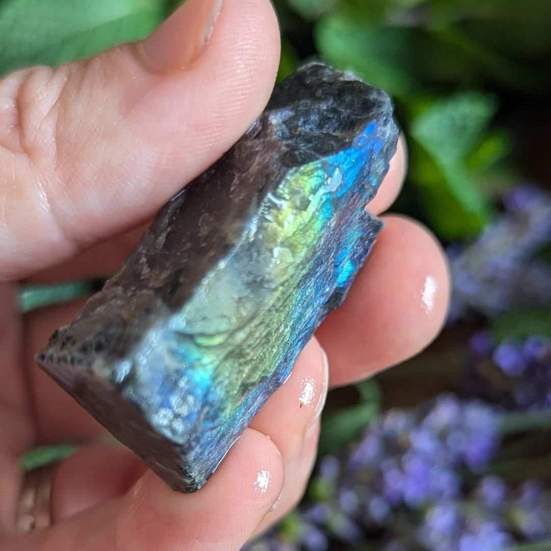 Rare, Natural Finland Spectrolite ~ A+ Grade Pure and Authentic Finland Labradorite Hand Collected