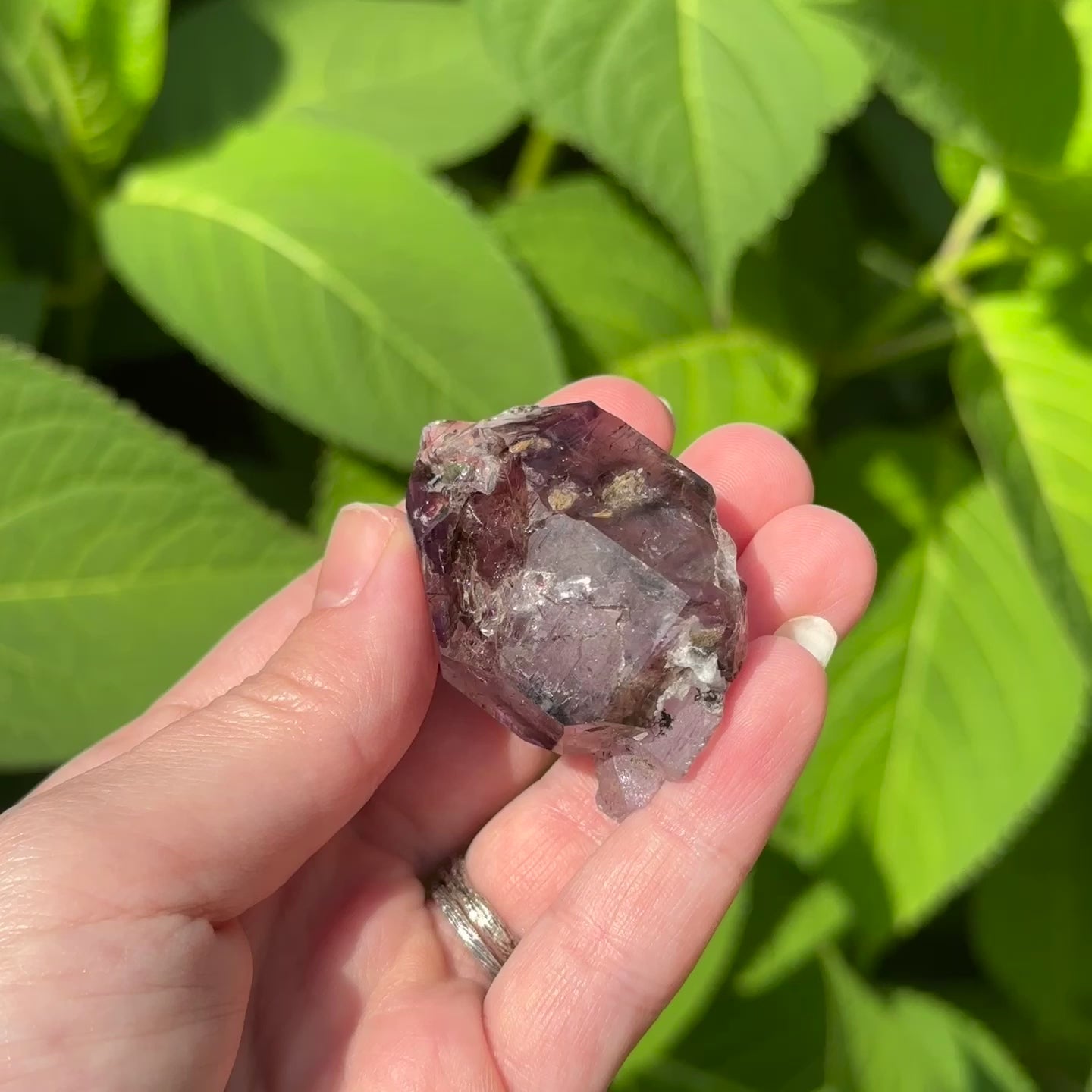 Load video: Crystal Clear Double Terminated Ancient Shangaan Amethyst - Self Healed with Rainbows!