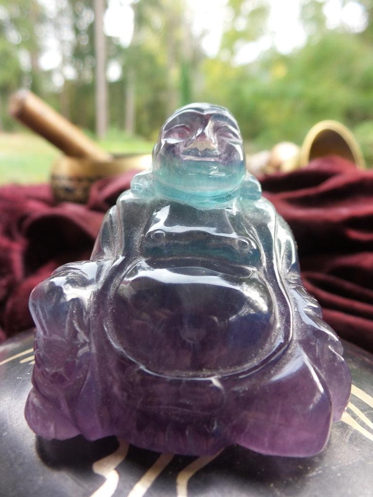 Glowing Head Rainbow Fluorite Buddha Carving - Earth Family Crystals