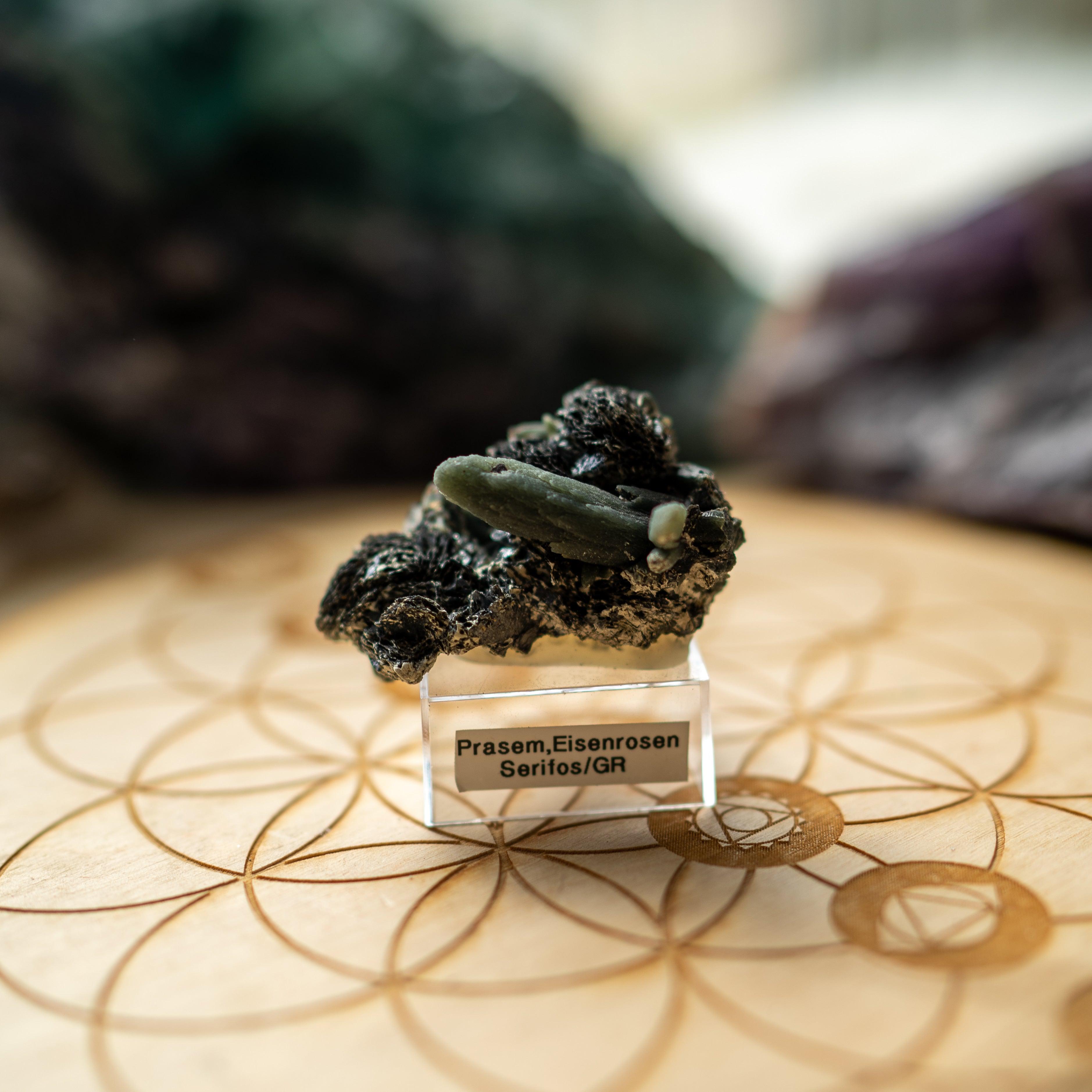 Very Rare Greek Seriphos Green Quartz Points Nestled On Crystal Matrix on Display Stand~Locality: Serifos, Greece - Earth Family Crystals