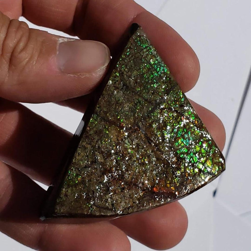 Chunky Alberta Ammolite Fossil Free Form Hand Held Specimen #5 - Earth Family Crystals