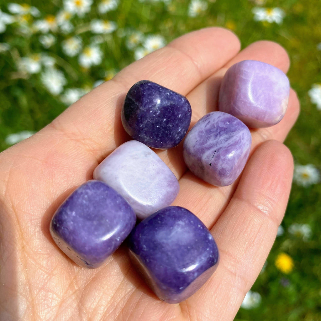 Set of 6 ~Lilac Lepidolite Tumbled Stone Crystal Set (Perfect for Crystal Grids) - Earth Family Crystals