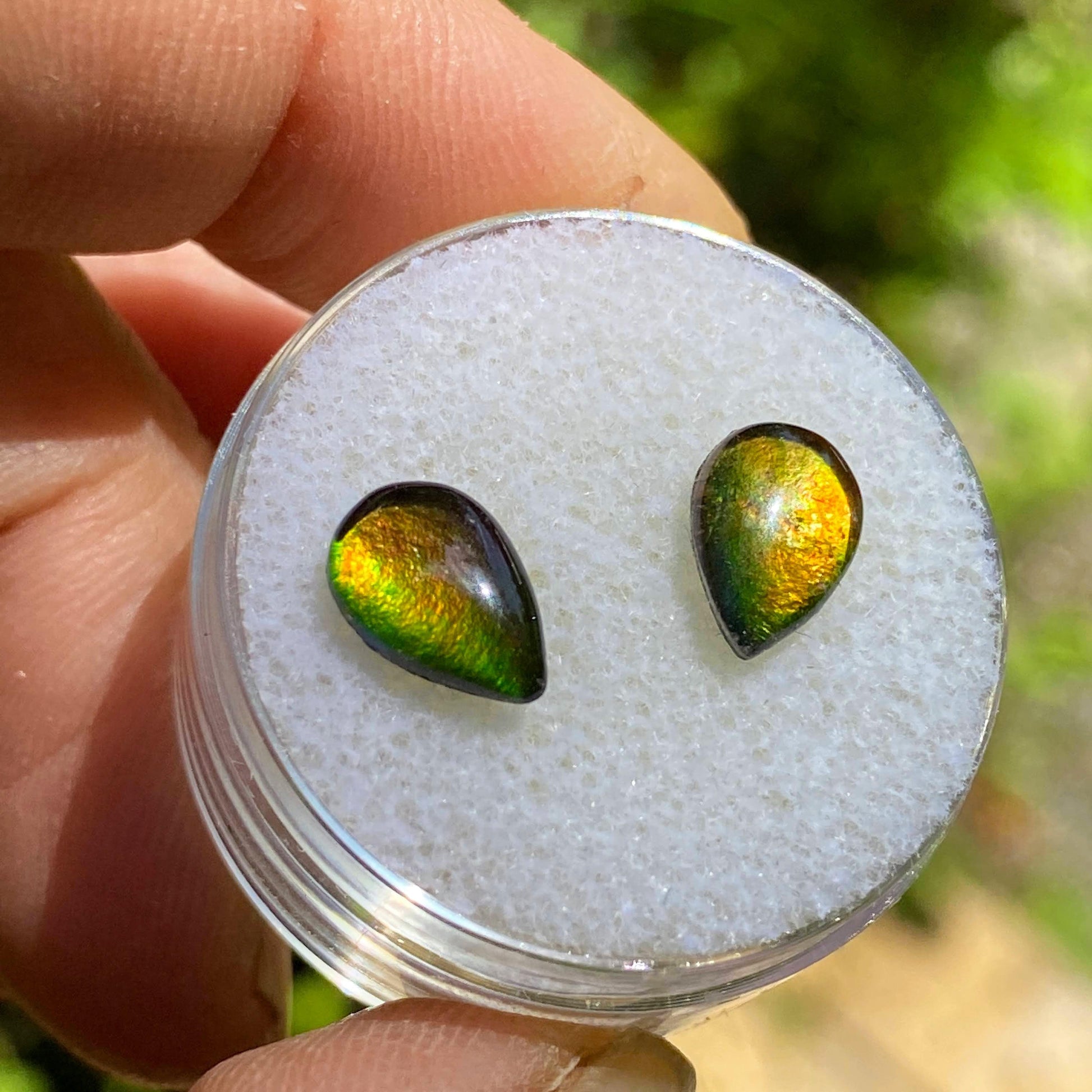 Quartz Capped Matching set of 2 Alberta Ammolite Teardrop Cabochons ideal for crafting - Earth Family Crystals