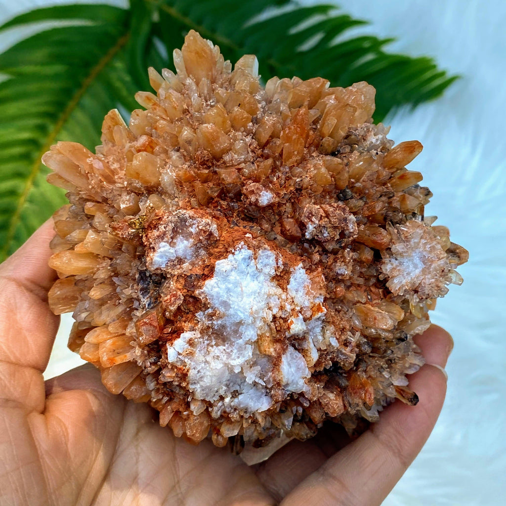 Fascinating XL hedgehog Creedite Natural Specimen -Locality Mexico - Earth Family Crystals
