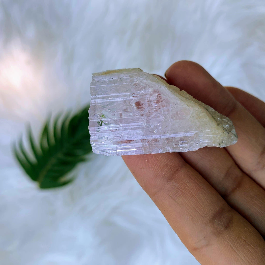 High Vibe Gemmy Natural Danburite Crystal ~ Locality: Mexico - Earth Family Crystals