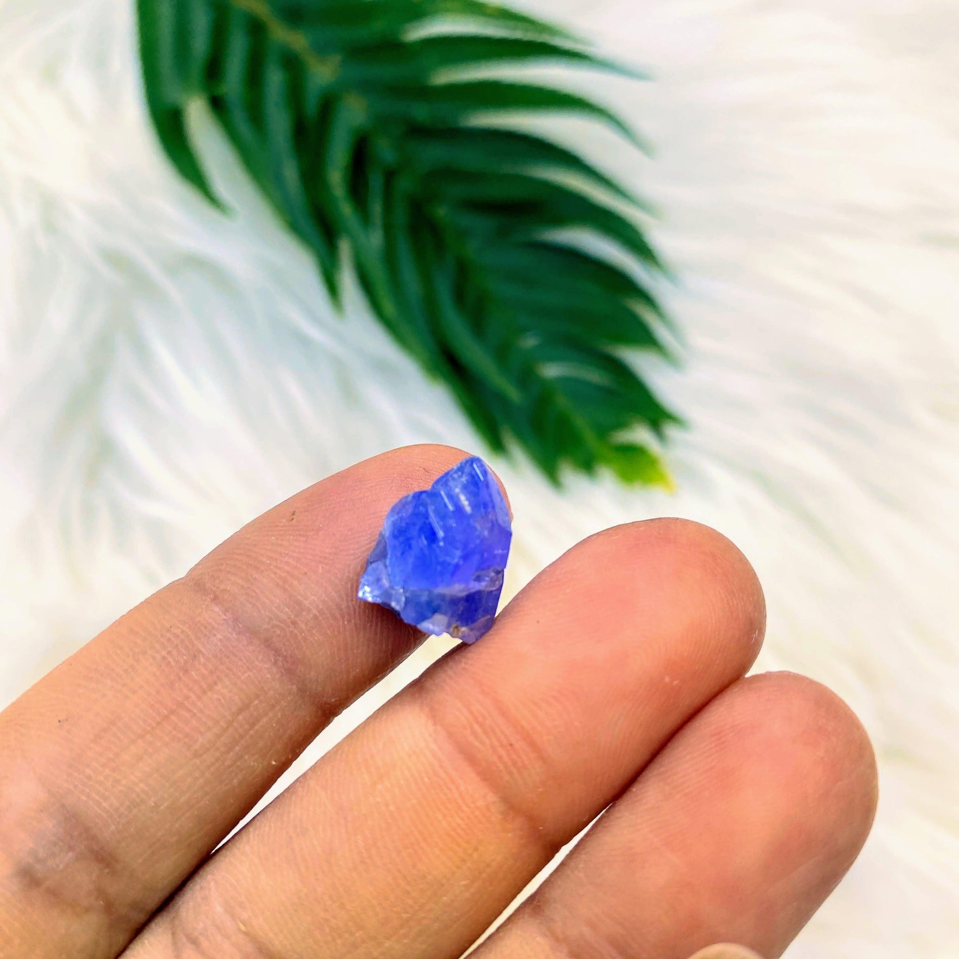 8.5 CT Terminated Gemmy Natural Tanzanite Specimen in Collectors Box - Earth Family Crystals