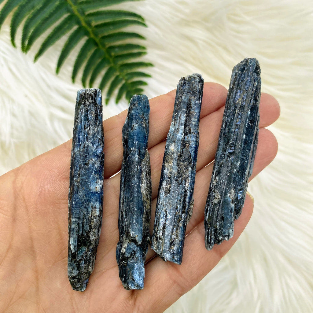 One Gemmy Blue Kyanite Natural Point Specimen - Earth Family Crystals