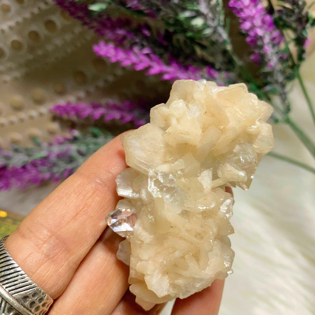 Gorgeous Gemmy Clear Apophyllite & Stilbite Cluster ~Locality India - Earth Family Crystals