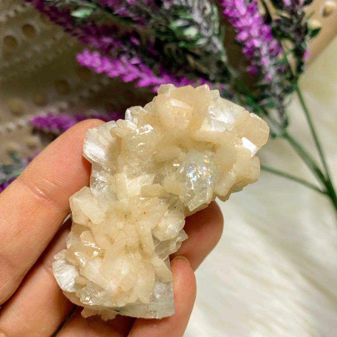 Gorgeous Gemmy Clear Apophyllite & Stilbite Cluster ~Locality India - Earth Family Crystals