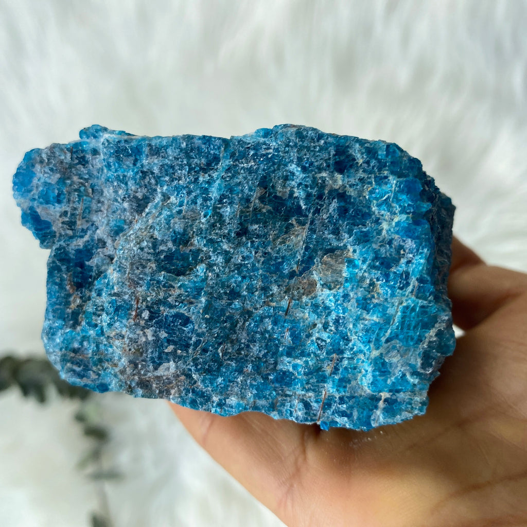 Vibrant Blue Apatite Large Natural Specimen from Brazil #2 - Earth Family Crystals