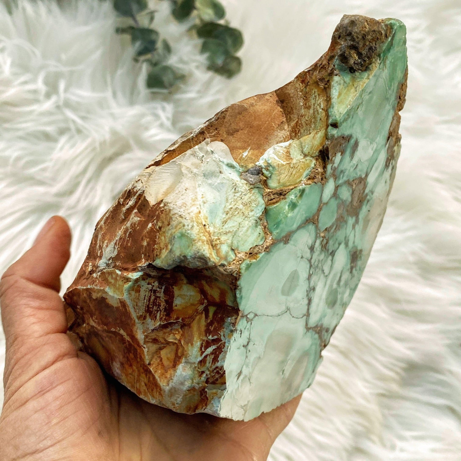 Rare & Amazing! 1.3kg Australian Variscite Partially Polished Display Specimen - Earth Family Crystals