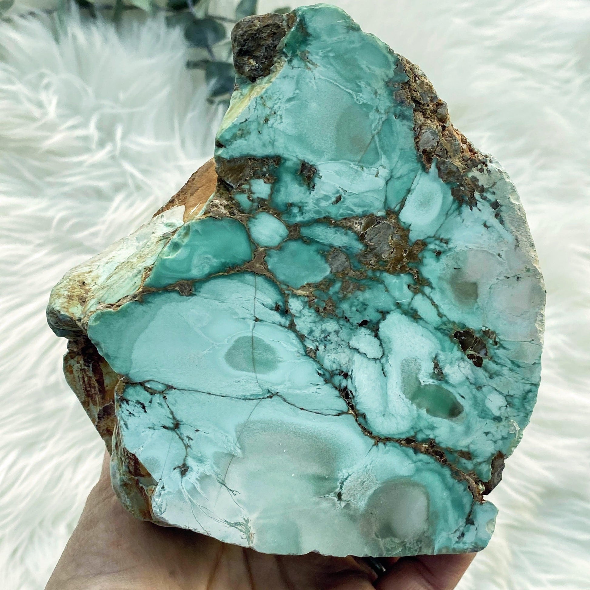 Rare & Amazing! 1.3kg Australian Variscite Partially Polished Display Specimen - Earth Family Crystals