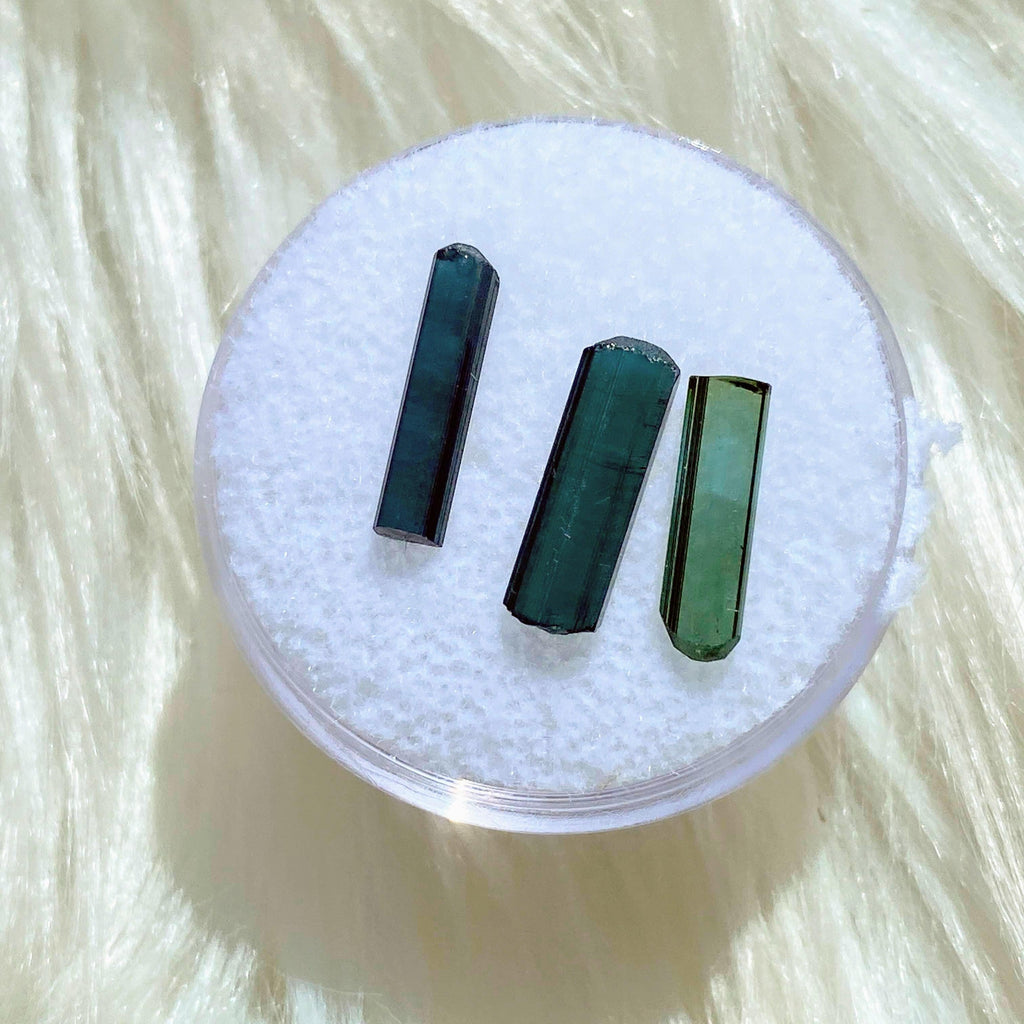 Rare 3.0CT Blue Indicolite Tourmaline & Green Tourmaline Points In Collectors Box - Earth Family Crystals