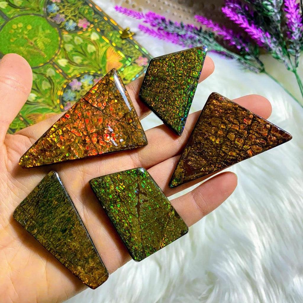 SPECIAL DEAL! One Large Multi Flash Alberta Ammolite Fossil Cabochon ~ Perfect for Crafting - Earth Family Crystals