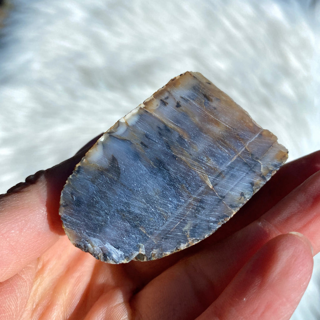 Australian Dendritic Agate Natural Freeform Specimen - Earth Family Crystals