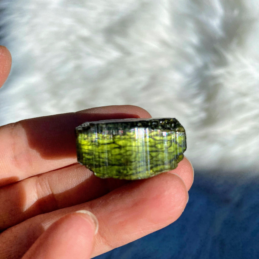 Natural Green Tourmaline Point From Brazil - Earth Family Crystals