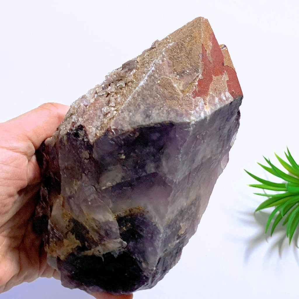 1.3 KG Auralite-23 Standing Point With Red Hematite, Record Keepers, Self Healing & Quartz Druzy From Canada - Earth Family Crystals