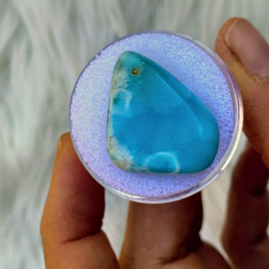 Caribbean Blue Larimar Polished Specimen in Collectors box - Earth Family Crystals