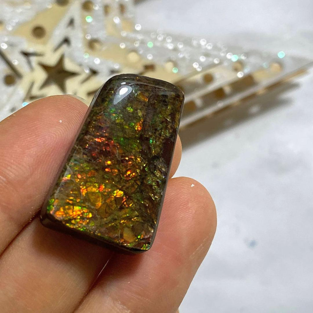 Genuine Alberta Ammolite Fossil Cabochon ~ Perfect for Crafting #5 - Earth Family Crystals