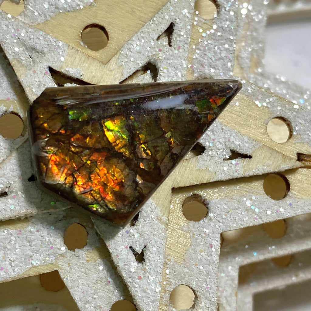 Genuine Alberta Ammolite Fossil Cabochon ~ Perfect for Crafting #4 - Earth Family Crystals