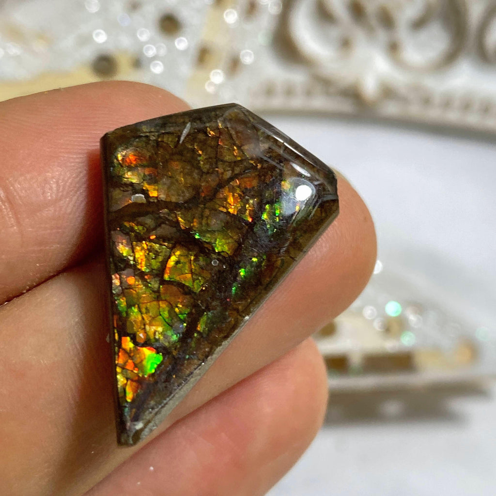 Genuine Alberta Ammolite Fossil Cabochon ~ Perfect for Crafting #4 - Earth Family Crystals