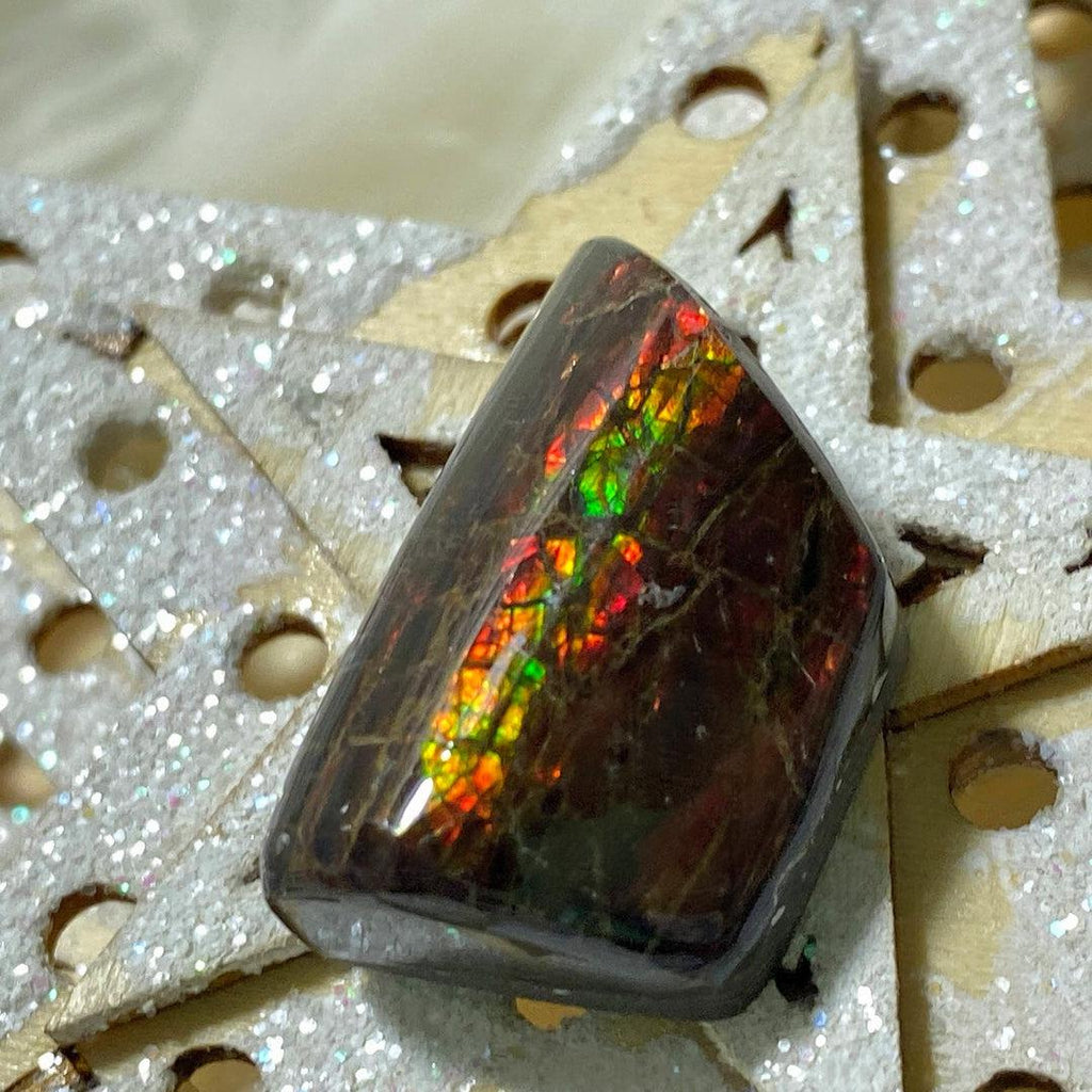 Genuine Alberta Ammolite Curved Fossil Cabochon ~ Perfect for Crafting - Earth Family Crystals