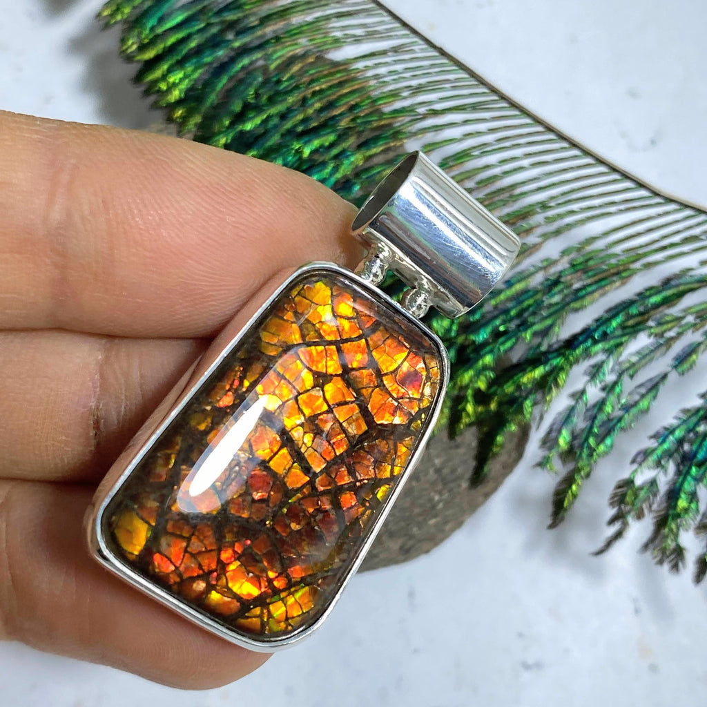 Pretty Flashes Ammolite Pendant in Sterling Silver (Includes Silver Chain) #2 - Earth Family Crystals