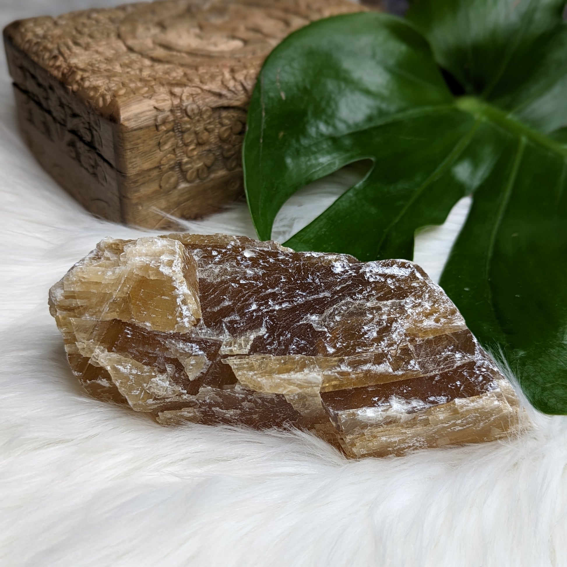 Honey Calcite from Mexico - Earth Family Crystals