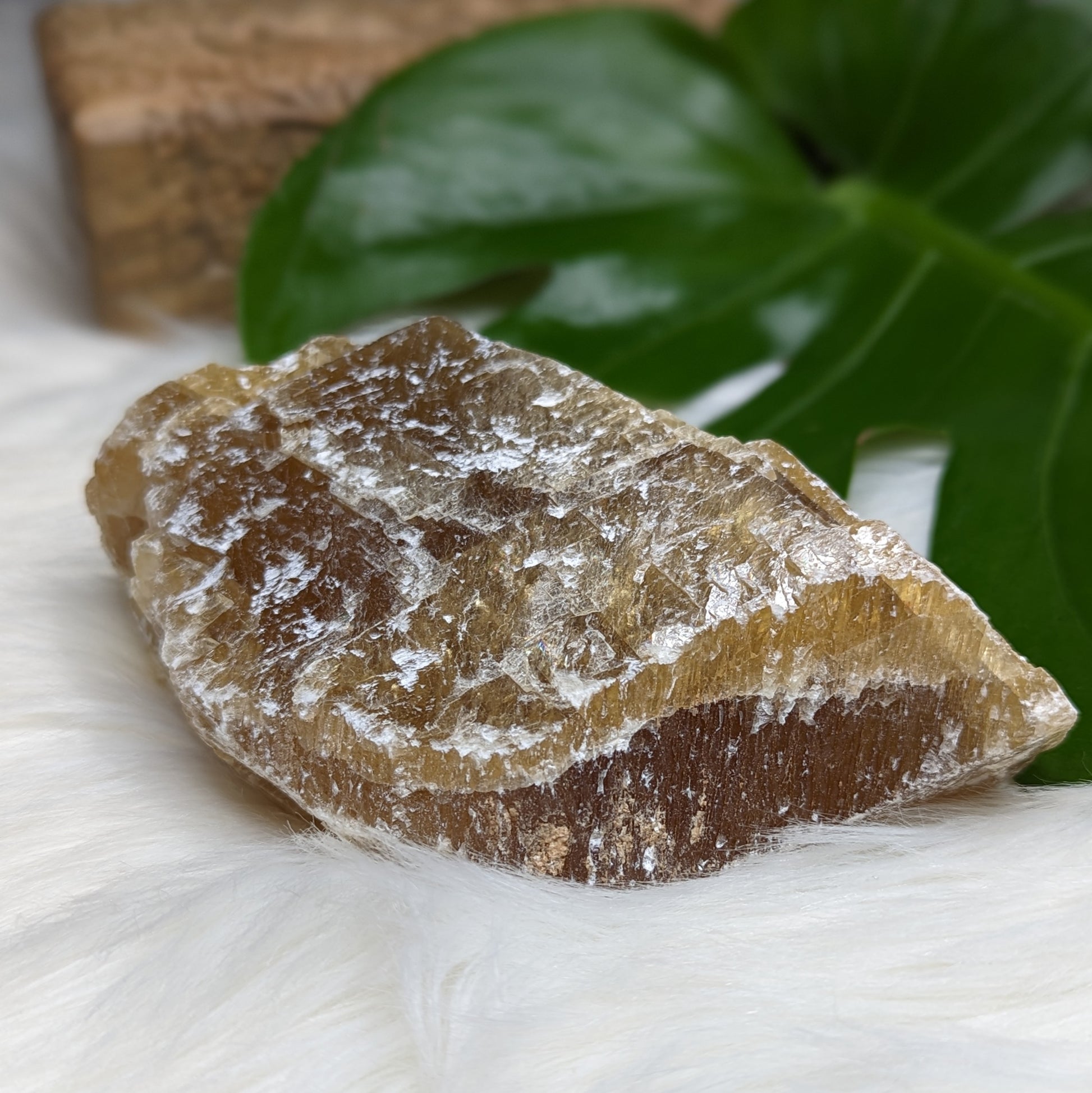 Honey Calcite from Mexico - Earth Family Crystals