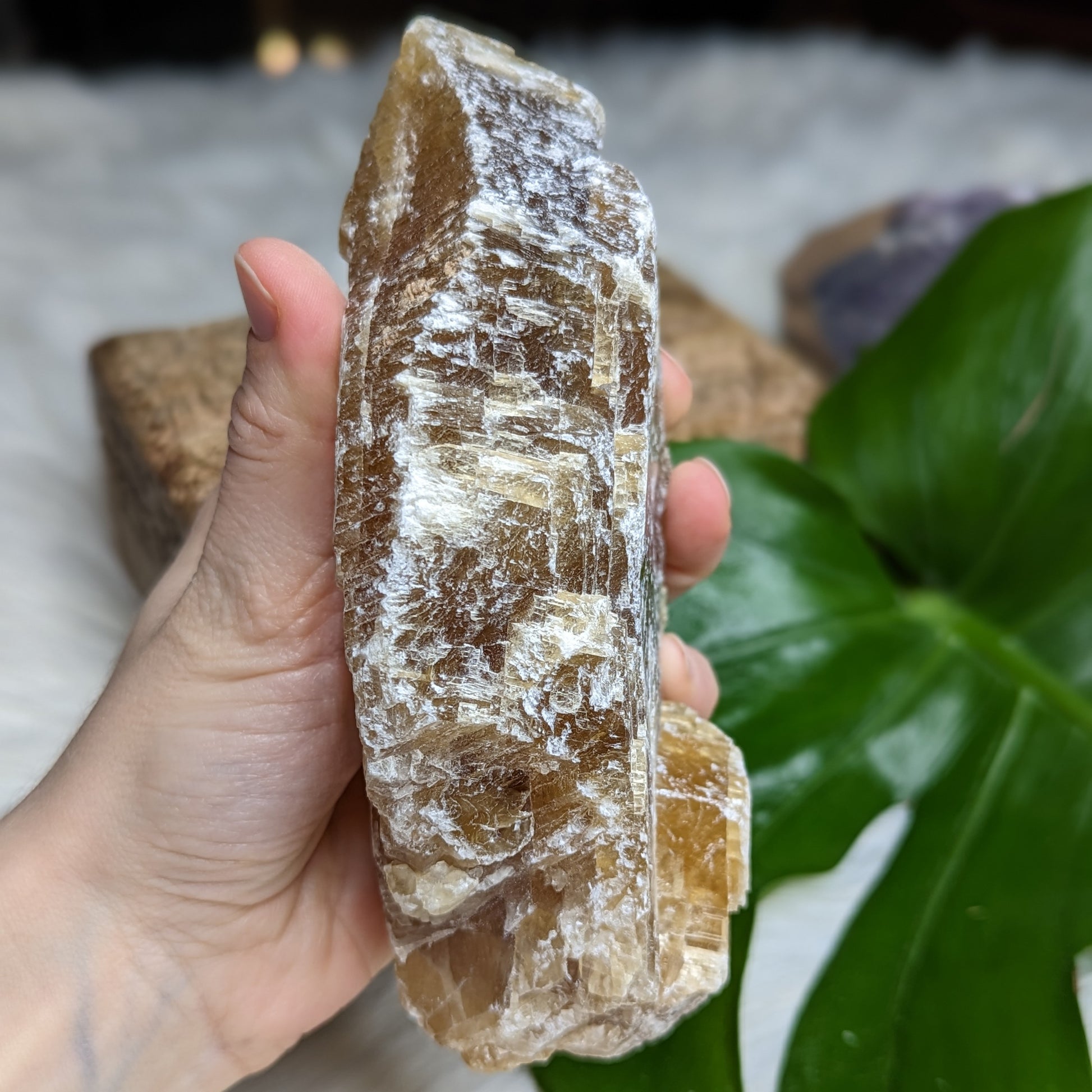 Honey Calcite from Mexico - Earth Family Crystals