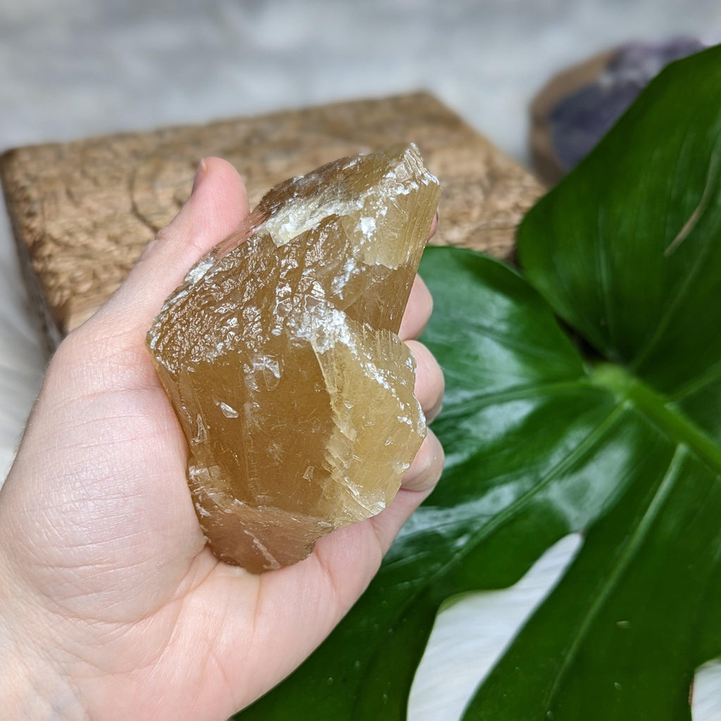 Gorgeous Honey Calcite Specimen from Mexico - Earth Family Crystals