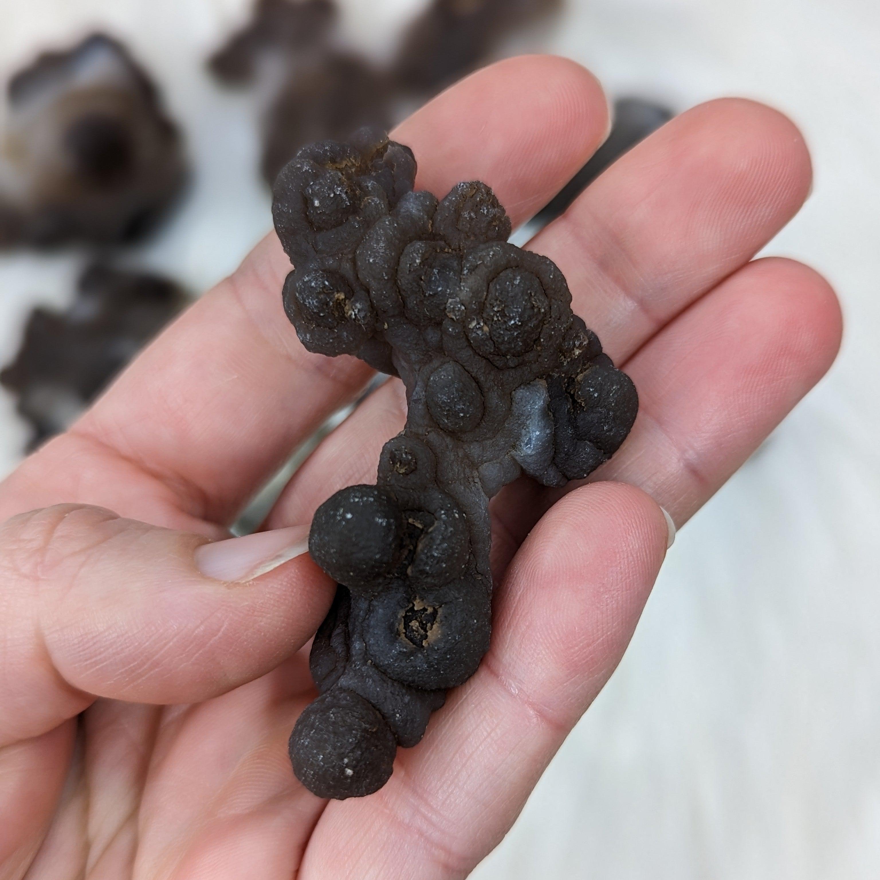 Truffle Chalcedony Specimens ~ Small Specimens from Morocco - Earth Family Crystals