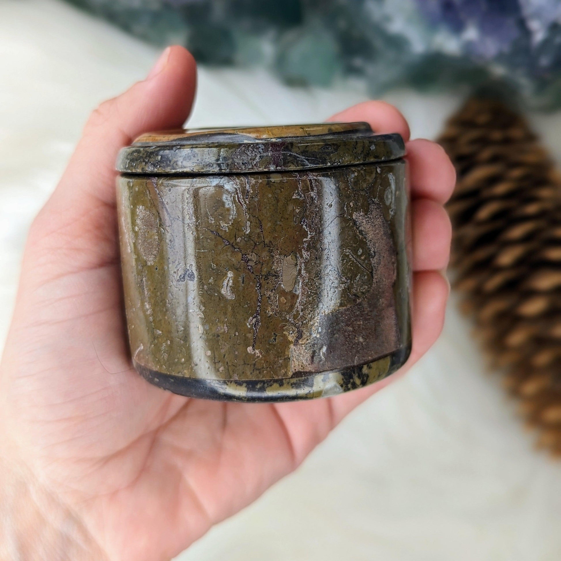 Polished Goniatite Natural Fossil Jewelry and Trinket Box~ Charge with Earth and Cosmic Healing Energies - Earth Family Crystals