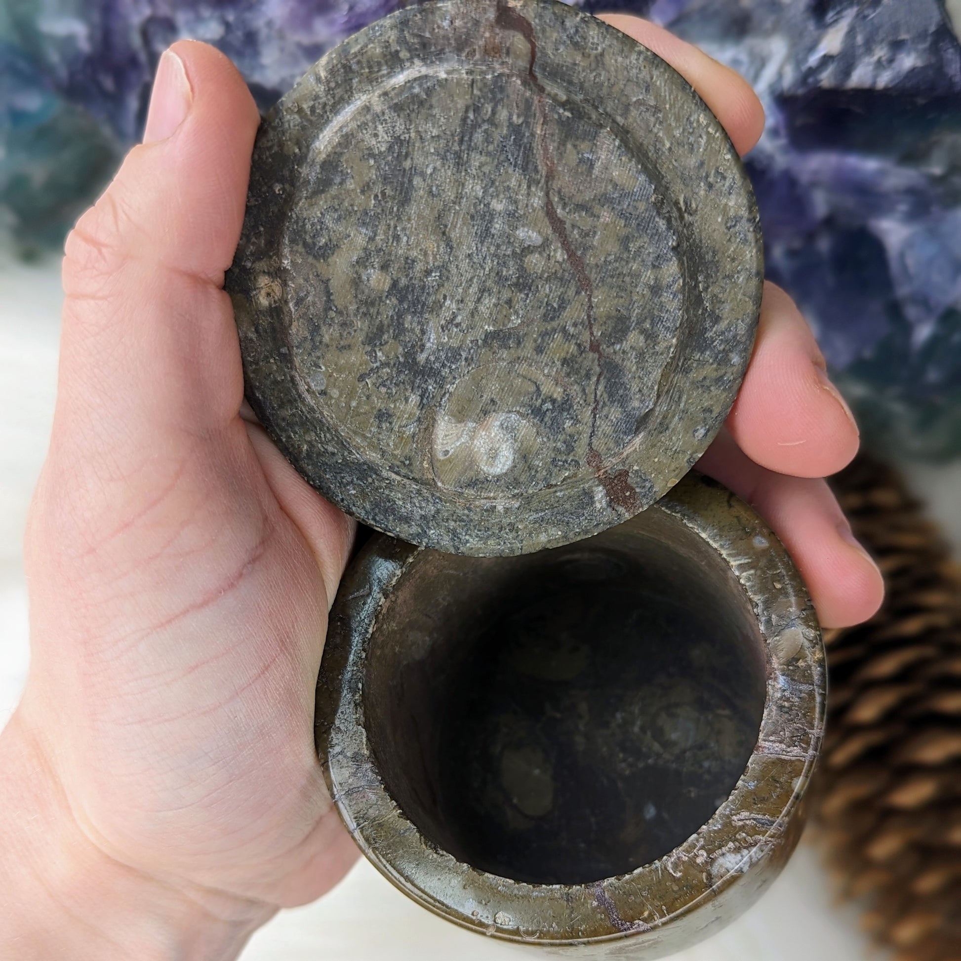 Polished Goniatite Natural Fossil Jewelry and Trinket Box~ Charge with Earth and Cosmic Healing Energies - Earth Family Crystals