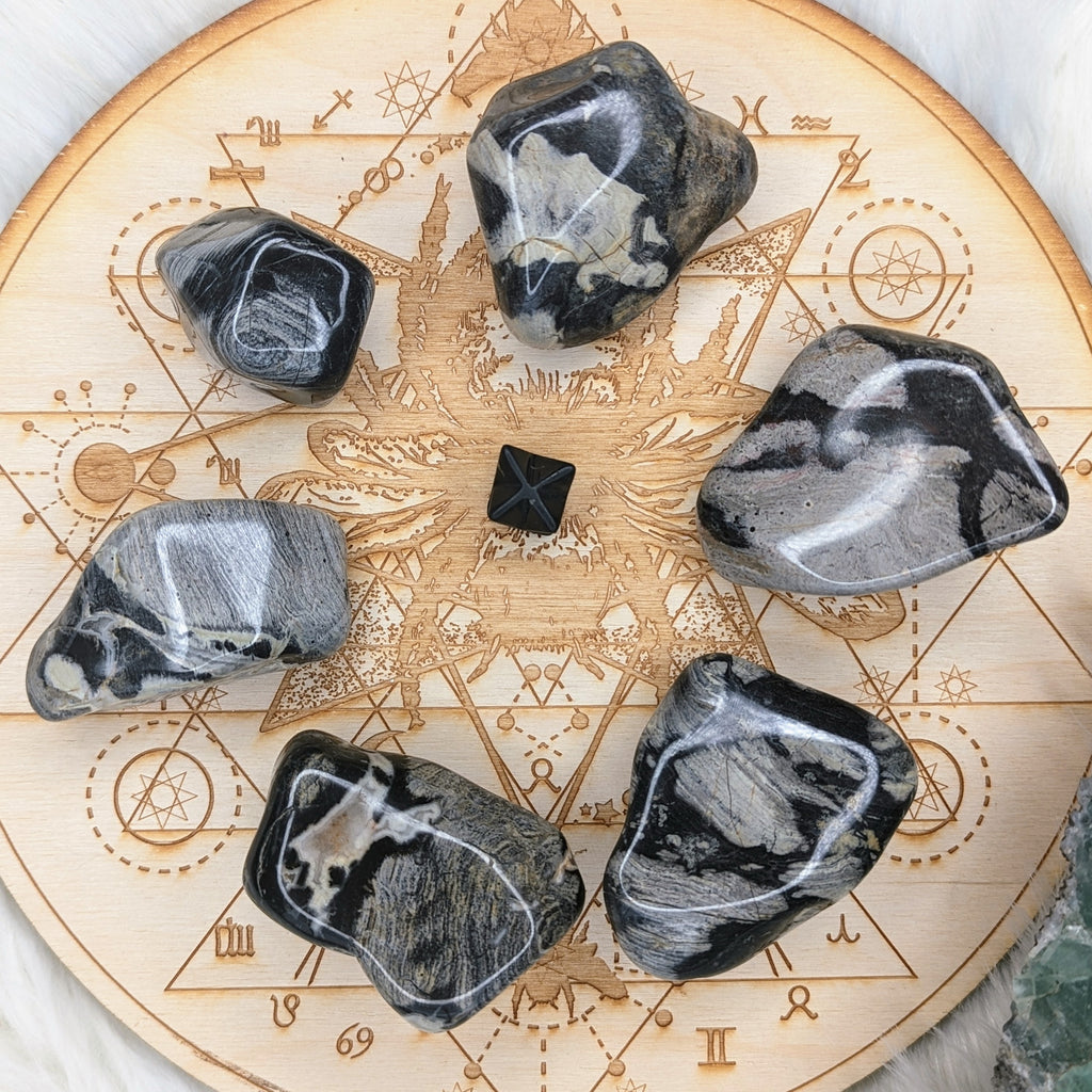 Tumbled and Beautifully Polished Silver Leaf Jasper from South Africa~ Set of 3 Palm stones - Earth Family Crystals