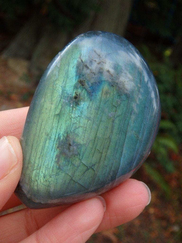 Amazing Green & Blue Flashes Labradorite Specimen - Earth Family Crystals