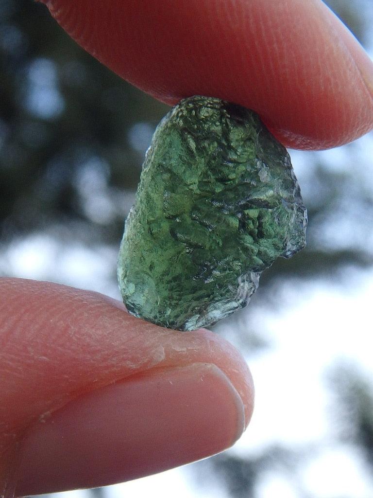 Gorgeous Genuine Green Moldavite Specimen From Czech Republic 2 - Earth Family Crystals