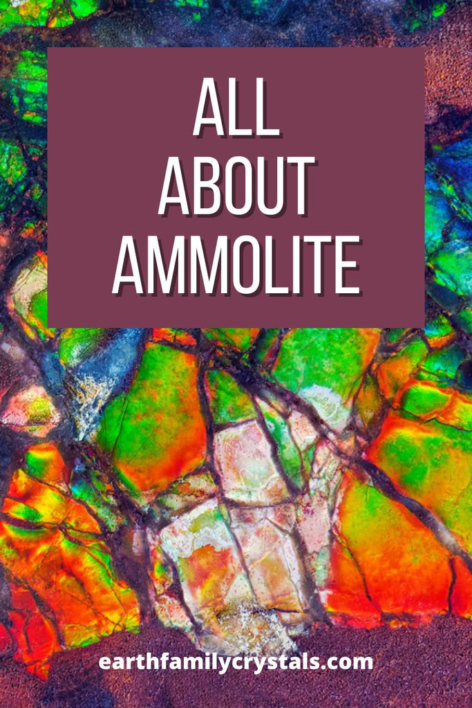 All About Ammolite